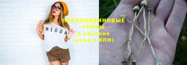 крисы Гусиноозёрск