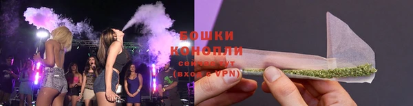 крисы Гусиноозёрск