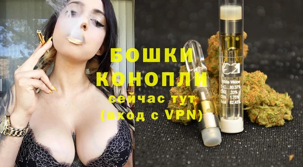 крисы Гусиноозёрск