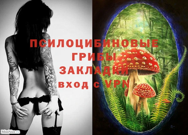 крисы Гусиноозёрск