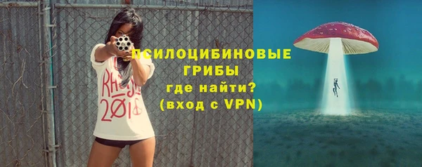крисы Гусиноозёрск