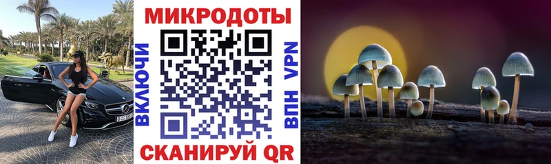 Псилоцибиновые грибы Magic Shrooms  Купить где  Нестеровская 