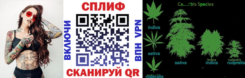 Купить  Нестеровская  Бошки марихуана сатива 